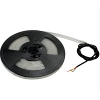 CAMESTRIP LED PER ASTA 8M