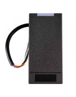 RFID Access Reader
