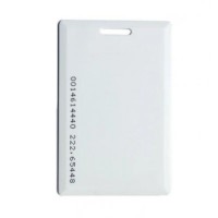 RFID Proximity Cards