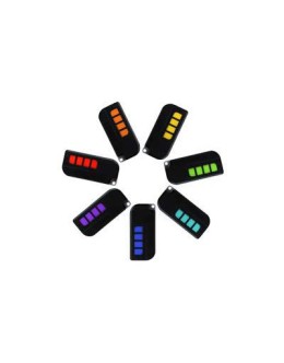 Twindoor Garage Remote