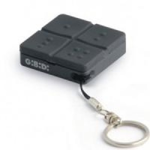 GIBIDI DOMINO Remote Controls in UAE 