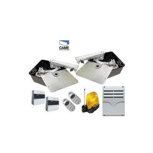 CAME FROG Swing Gate Motor in UAE 