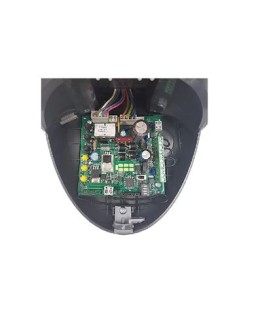 KING GATES STAR ROLLS