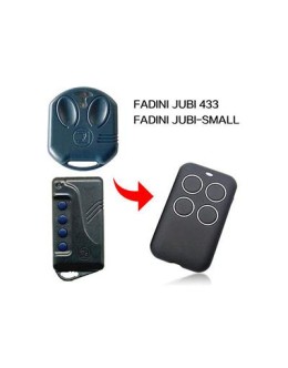 Fadini vix 53